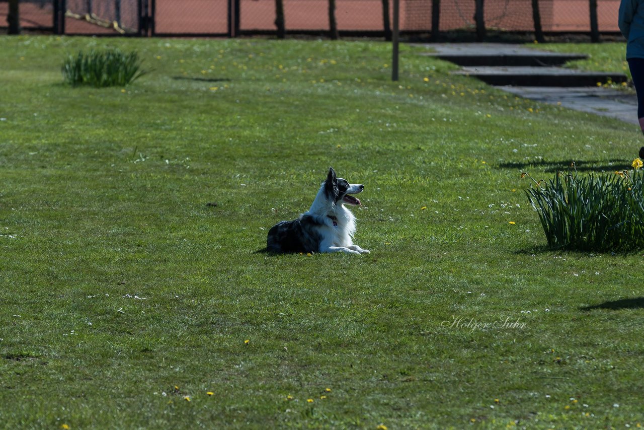 Bild 279 - VL Marienthaler THC - THC von Horn und Hamm